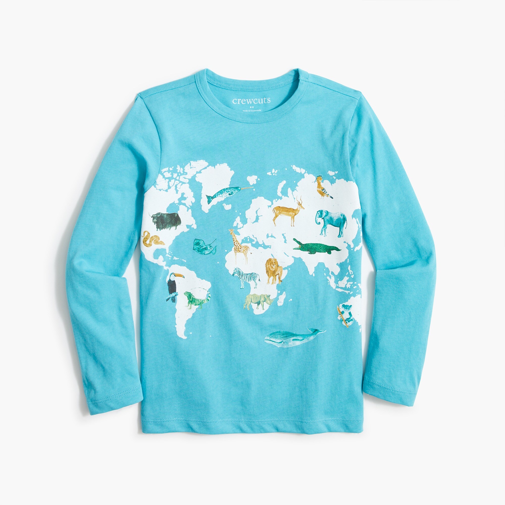 Boys' long-sleeve animal map graphic tee