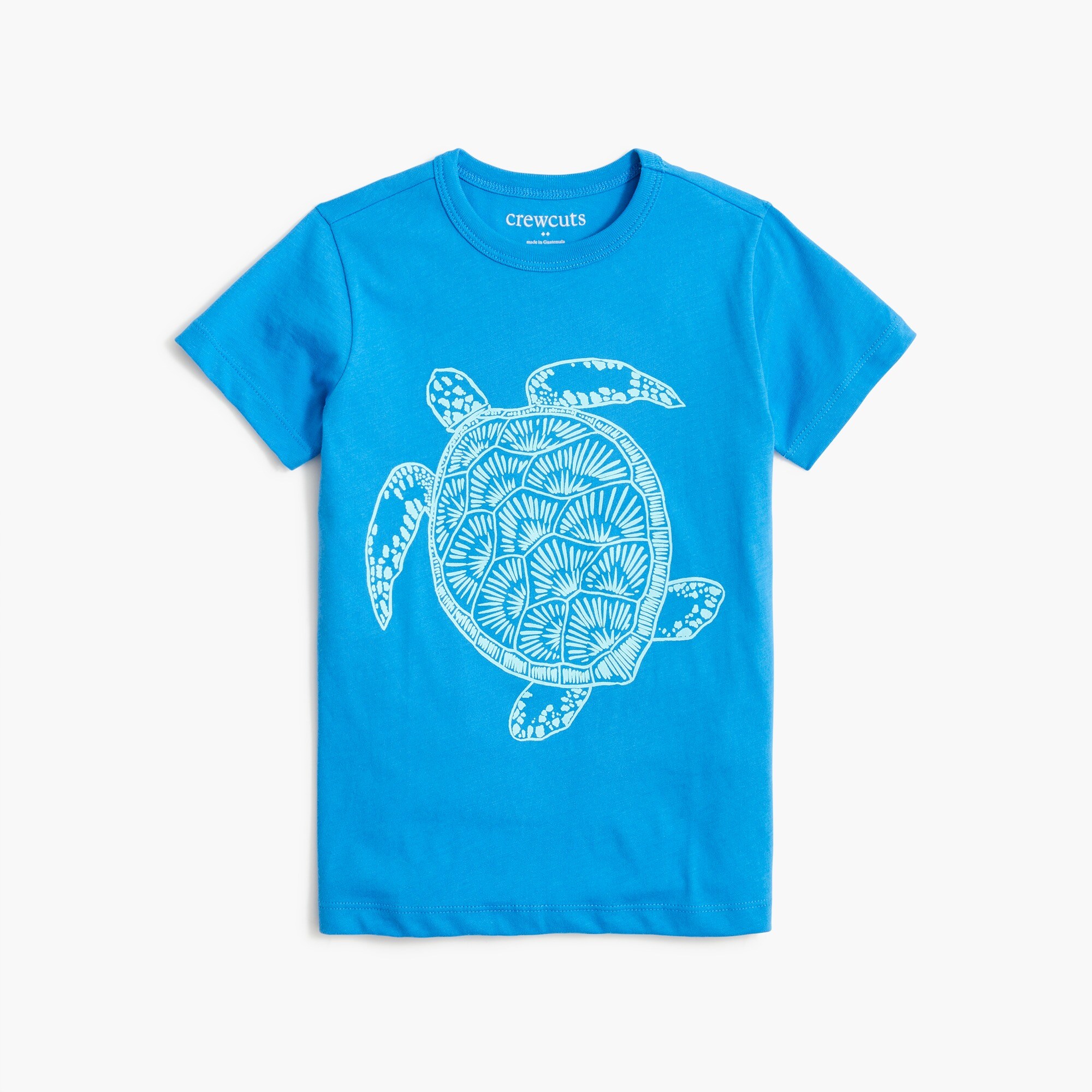 Boys' turtle graphic tee