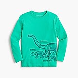 Boys&apos; long-sleeve dinosaur graphic tee
