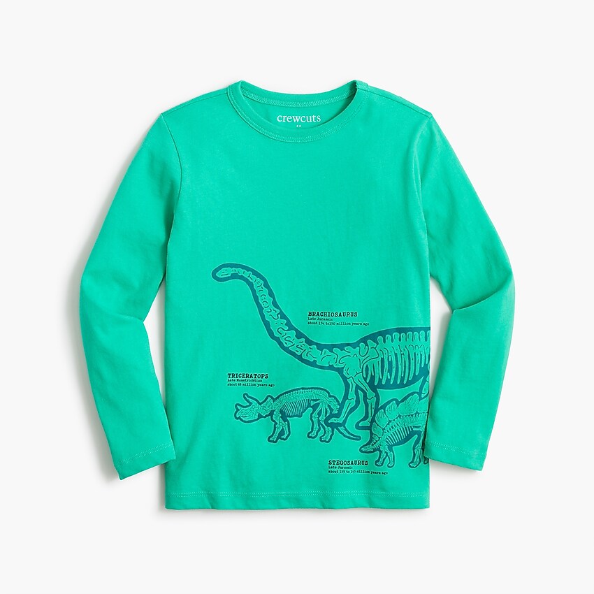 factory: boys&apos; long-sleeve dinosaur graphic tee for boys, right side, view zoomed