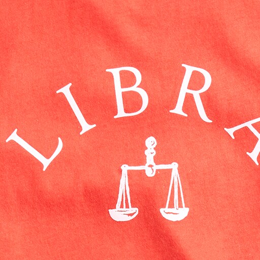 Broken-in jersey &quot;Libra&quot; T-shirt WOLFBERRY j.crew: broken-in jersey &quot;libra&quot; t-shirt for women