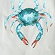 Made-in-the-USA lobster graphic T-shirt SPRUCE LOBSTER GRAPHIC 