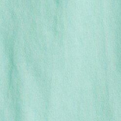 SPEARMINT