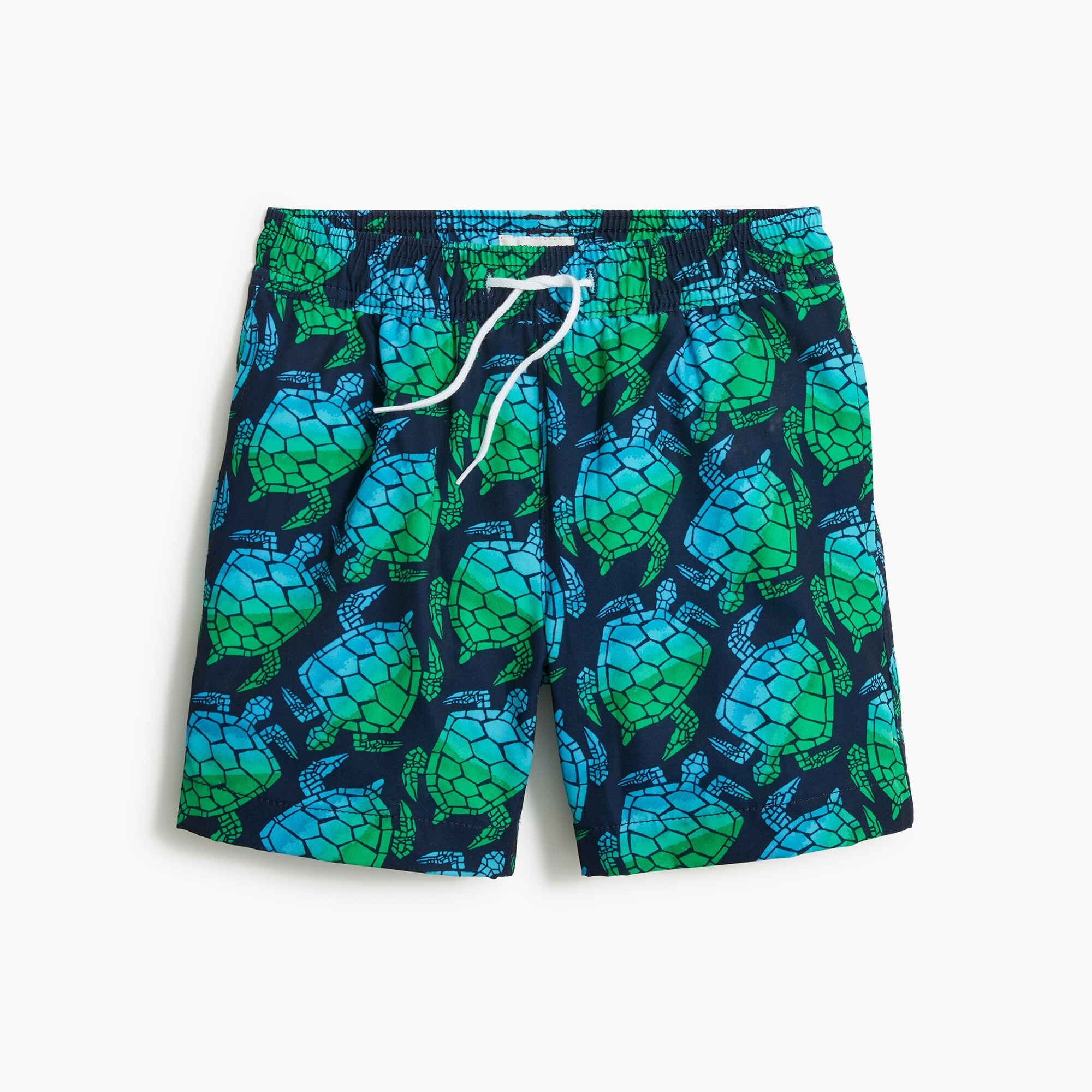 Boys' turtle-print swim trunk