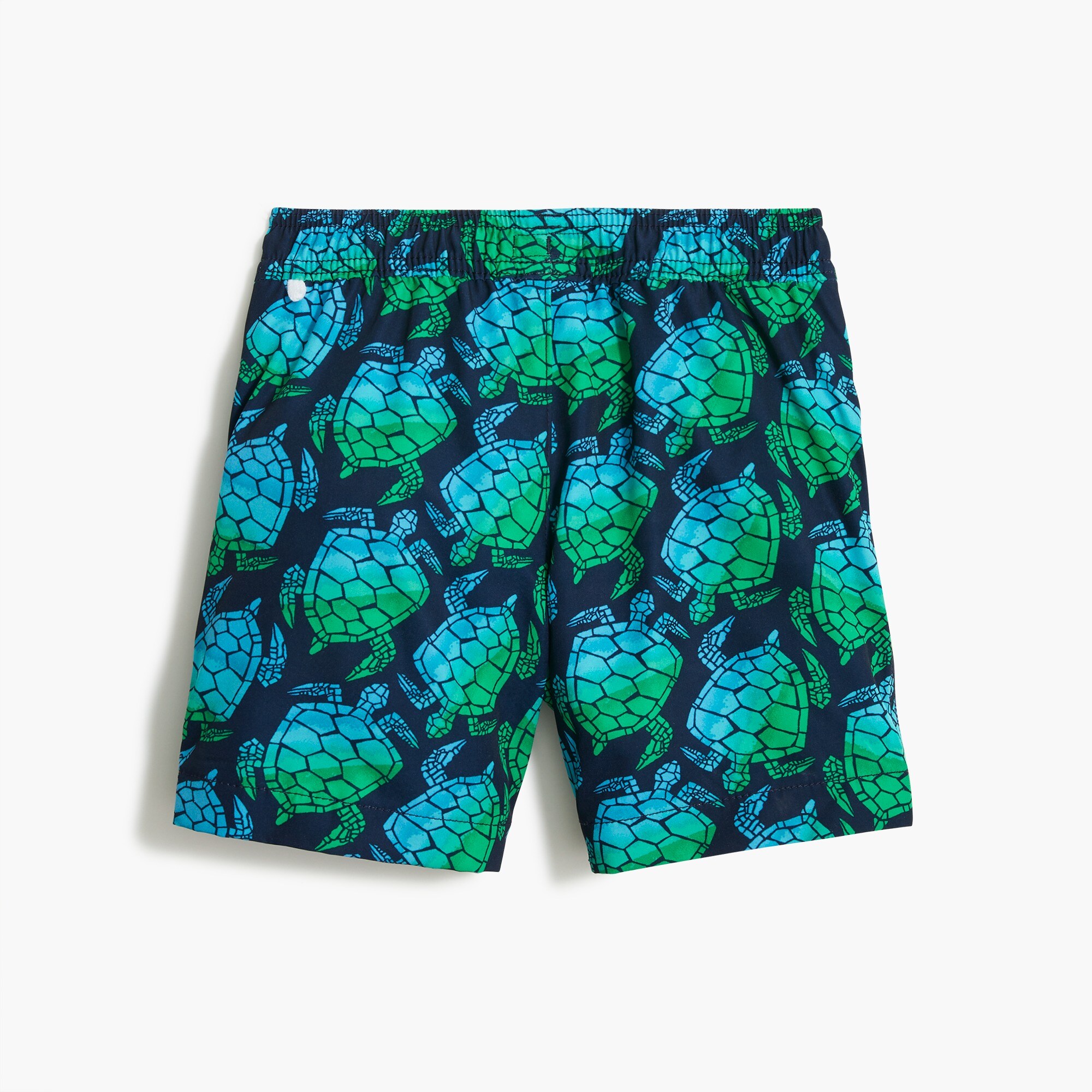 Boys&apos; turtle-print swim trunk