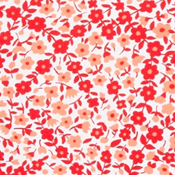 SEASIDE CORAL MELON
