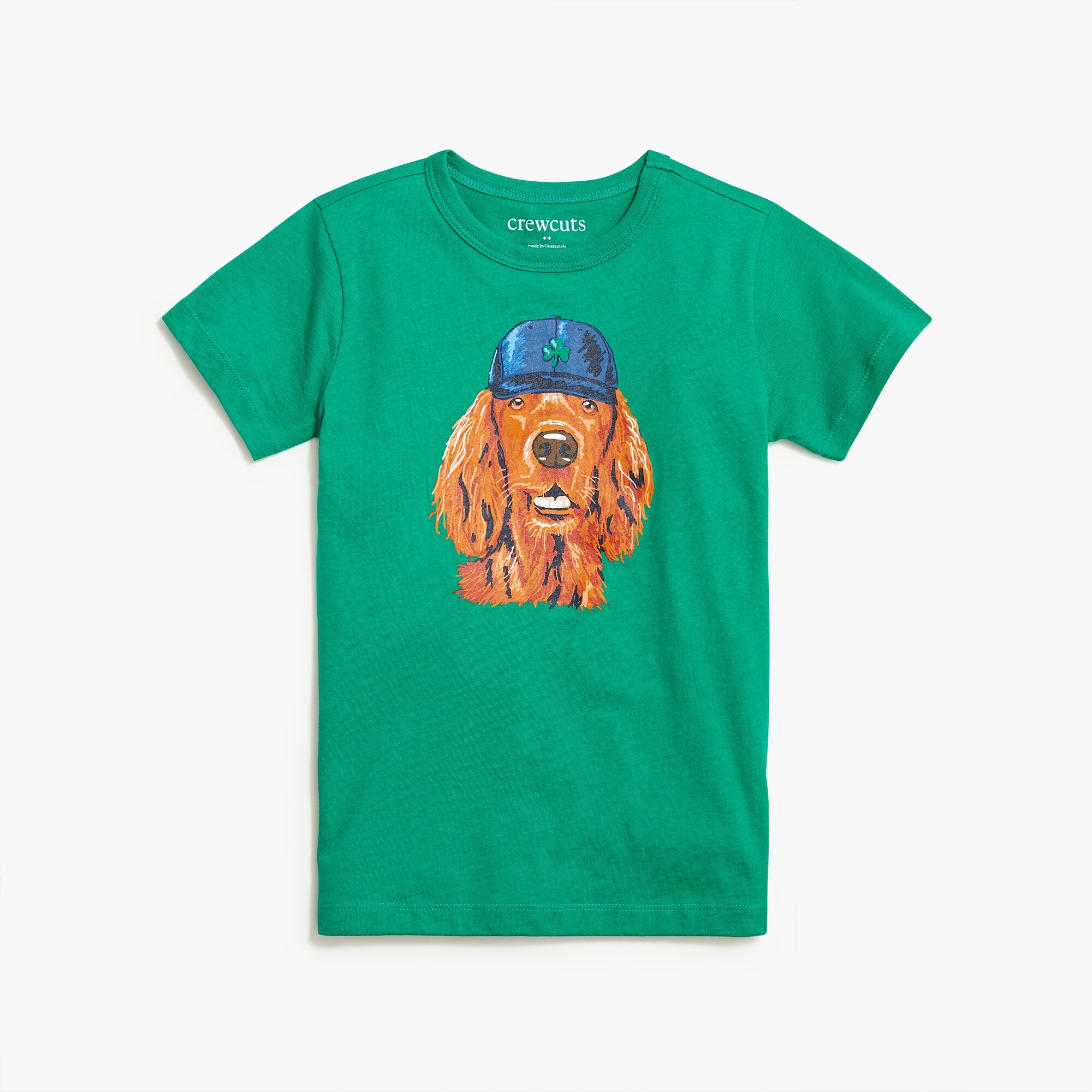 factory: boys&apos; dog with hat graphic tee for boys, right side, view zoomed