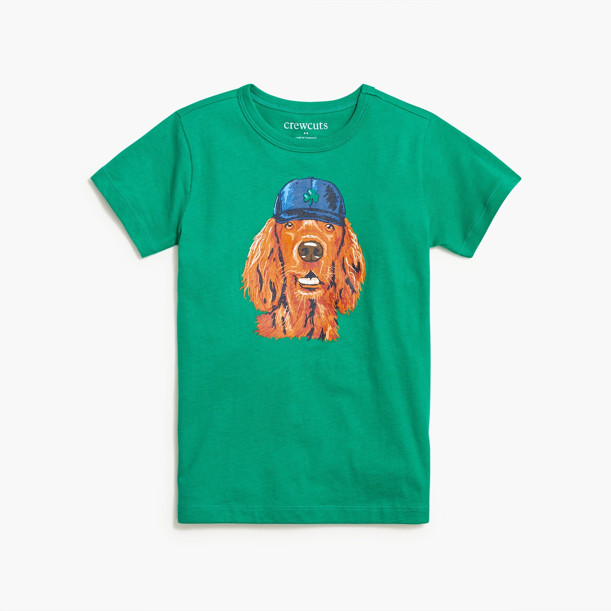 Boys' dog with hat graphic tee
