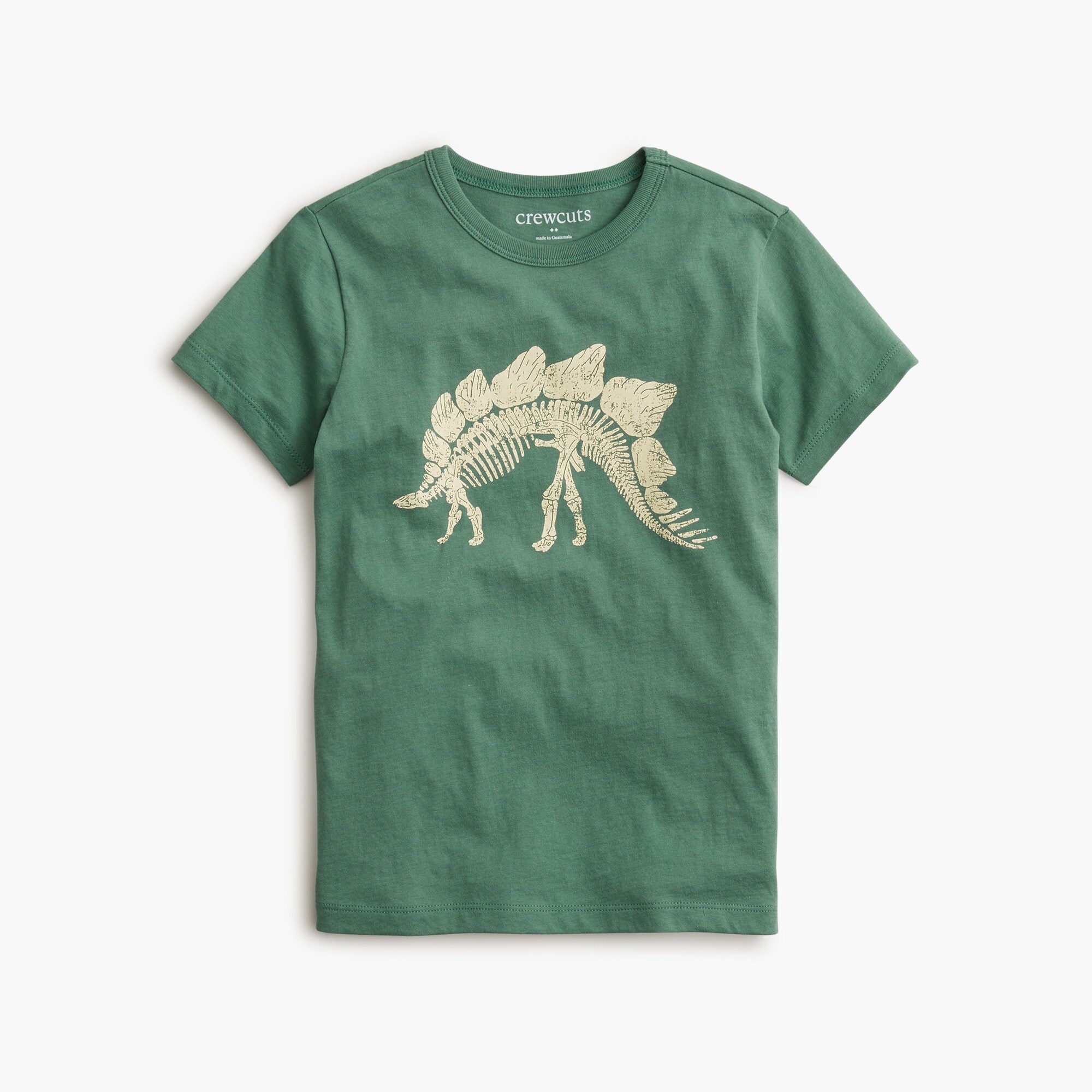 Boys' dinosaur graphic tee