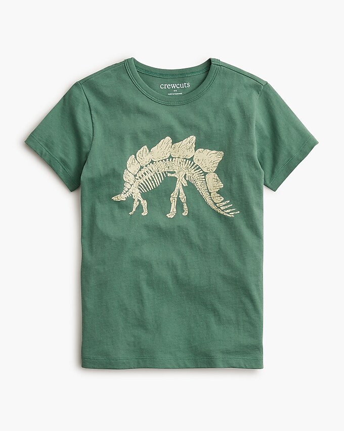 factory: boys&apos; dinosaur graphic tee for boys, right side, view zoomed