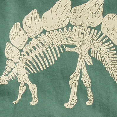 Boys&apos; dinosaur graphic tee PALE SPINACH factory: boys&apos; dinosaur graphic tee for boys
