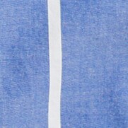 REGAL BLUE