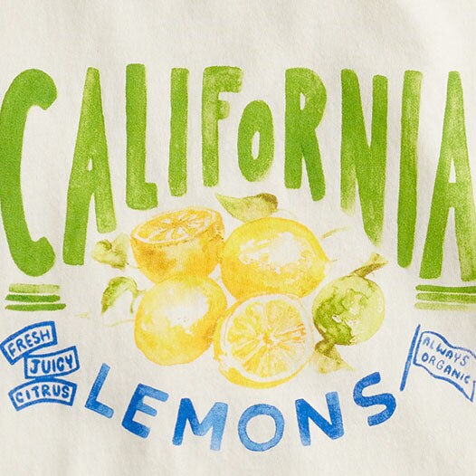 Classic-fit lemon graphic T-shirt PAINTED LEMONS j.crew: classic-fit lemon graphic t-shirt for women