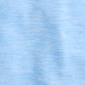 MOUNTAIN BLUEBIRD