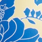 SAIL BLUE
