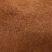 Elsie made-in-Italy suede pumps RICH COGNAC j.crew: elsie made-in-italy suede pumps for women