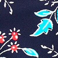 ANTIQUE NAVY RADIANT AQ