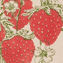 Strawberry graphic tee MONTERY factory: strawberry graphic tee for women