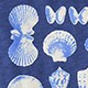 Girls&apos; short-sleeve seashell graphic T-shirt SHELL COLLECTION j.crew: girls&apos; short-sleeve seashell graphic t-shirt for girls