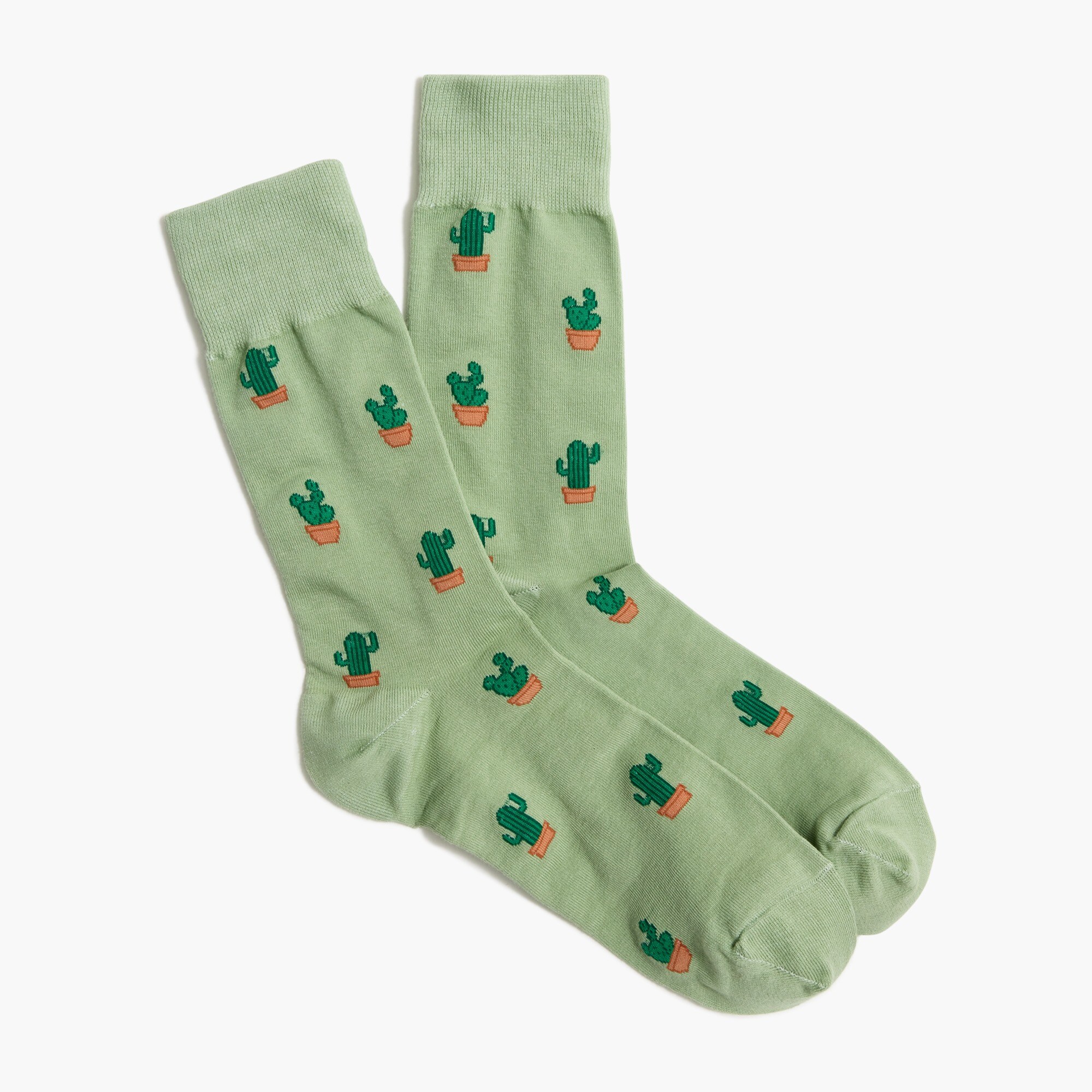 cactus socks for men