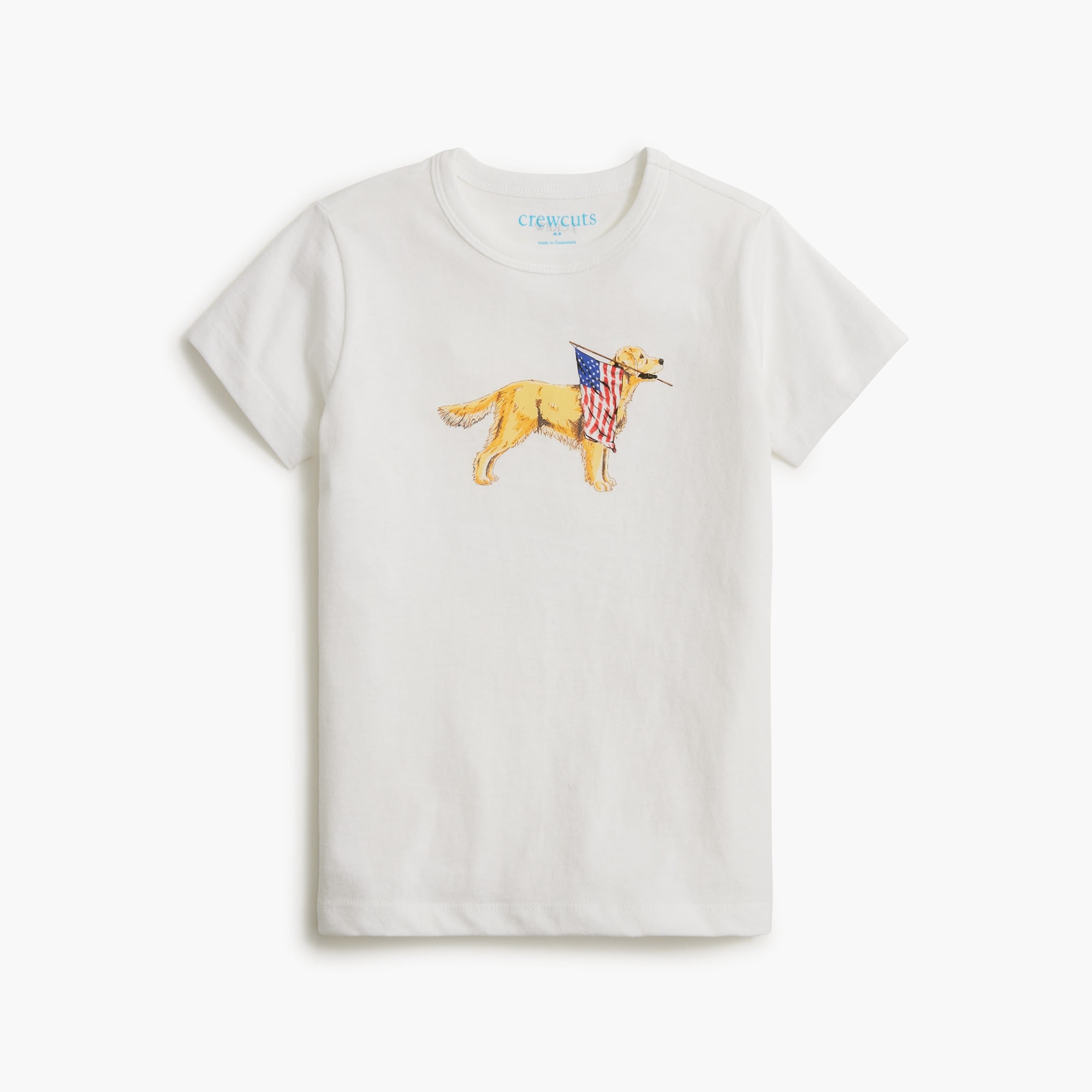 Boys' flag dog graphic tee