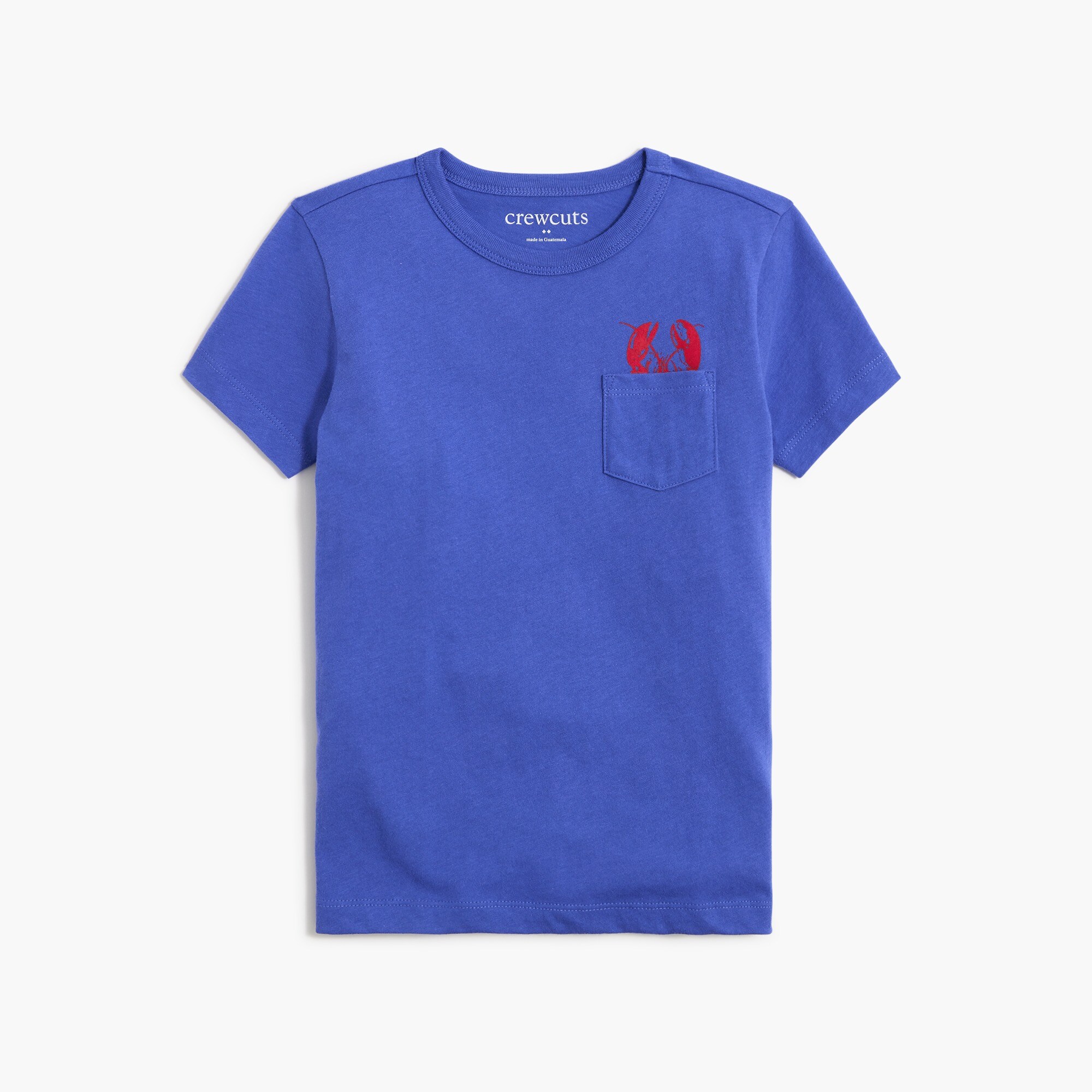 Boys' critter pocket tee