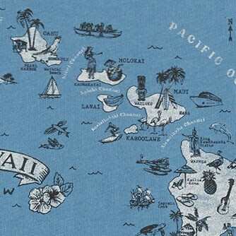 Boys&apos; Hawaii graphic tee SEASHORE BLUE factory: boys&apos; hawaii graphic tee for boys