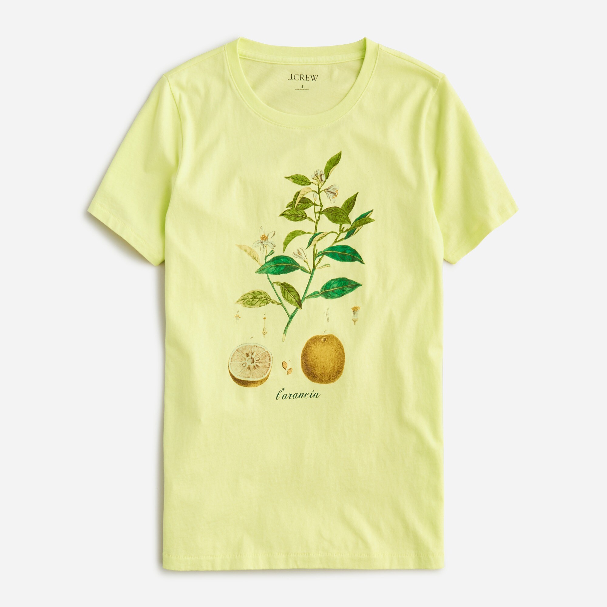 Classic-fit citrus graphic T-shirt