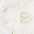 Girls&apos; hair bow WHITE factory: girls&apos; hair bow for girls