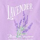 Lobster graphic tee ANTIQUE NAVY FLAMINGO  