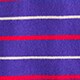 PURPLE POPPY LINEN STRI