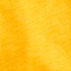 WARM SUNFLOWER