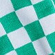 BLUE GREEN CHECK