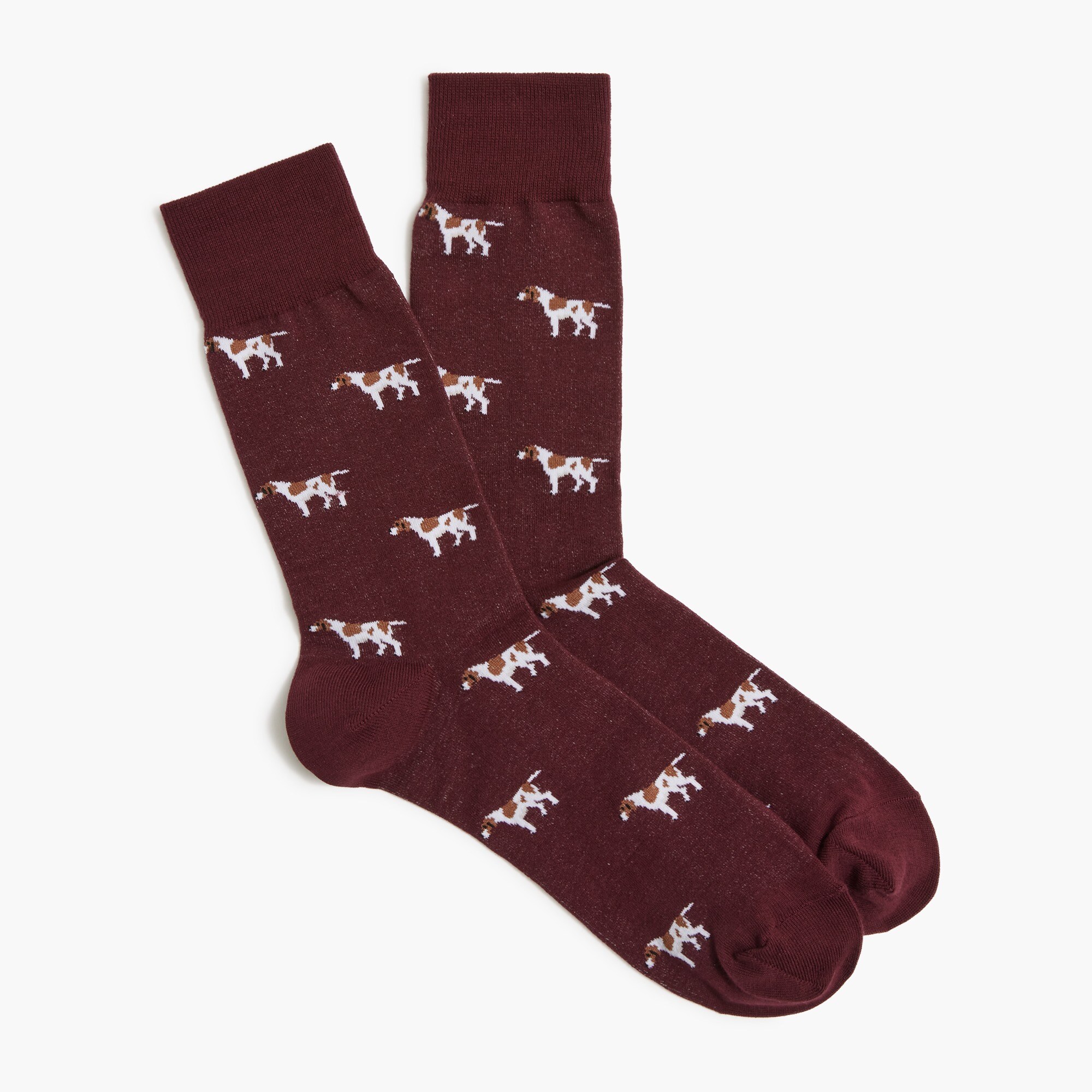 dog socks for men