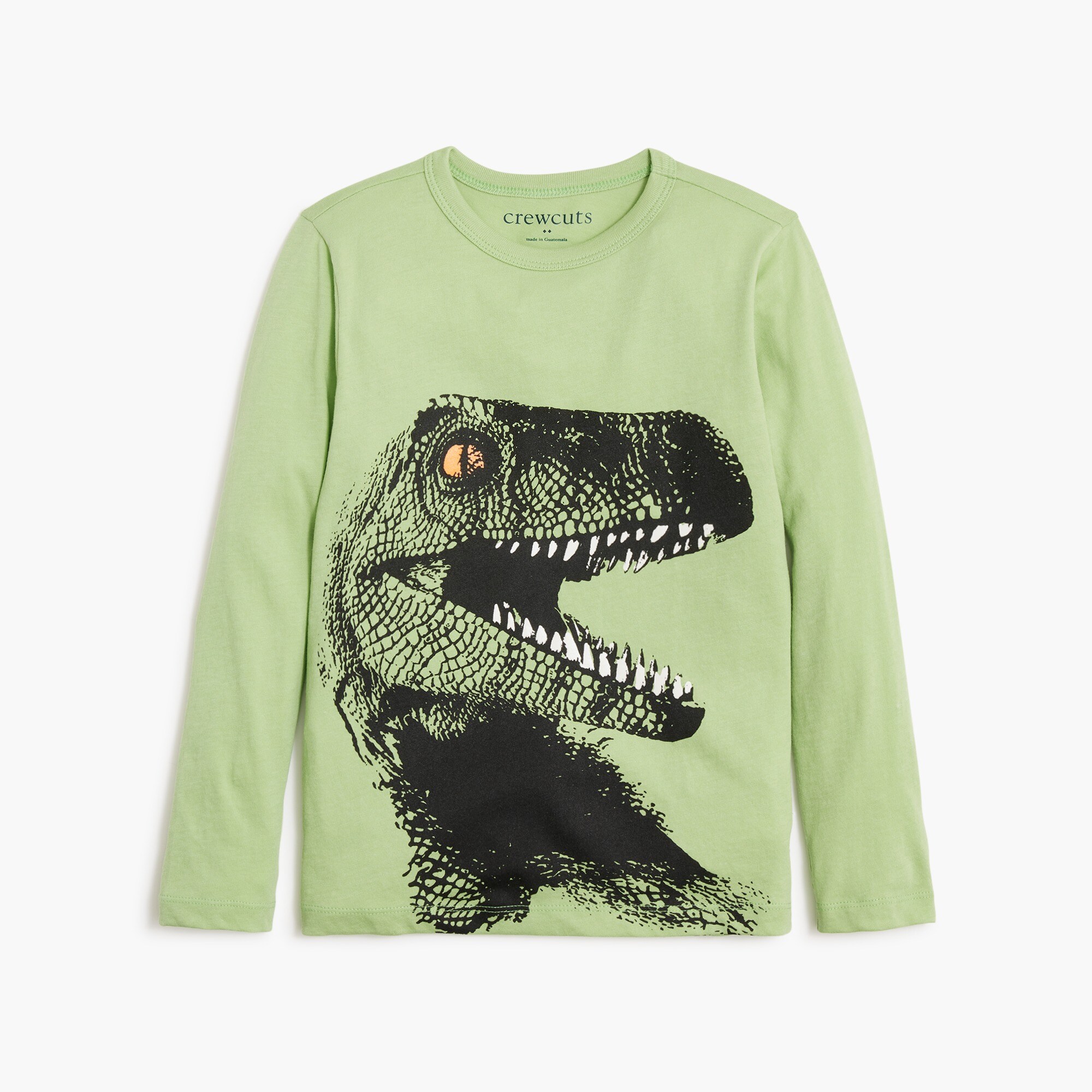 boys' glow-in-the-dark dinosaur graphic tee for boys