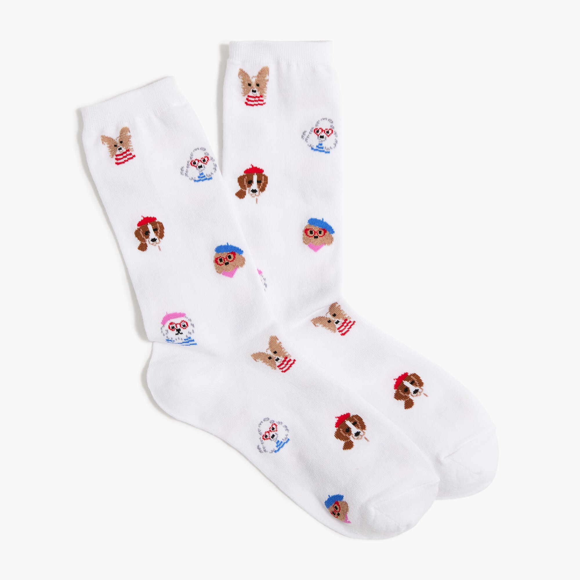 French dog trouser socks