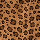 Girls' ruffle-shoulder puff-sleeve top in leopard print BROWNS