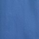 DELPHINIUM BLUE