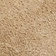Birkenstock&reg; Boston clogs TAUPE j.crew: birkenstock&reg; boston clogs for women
