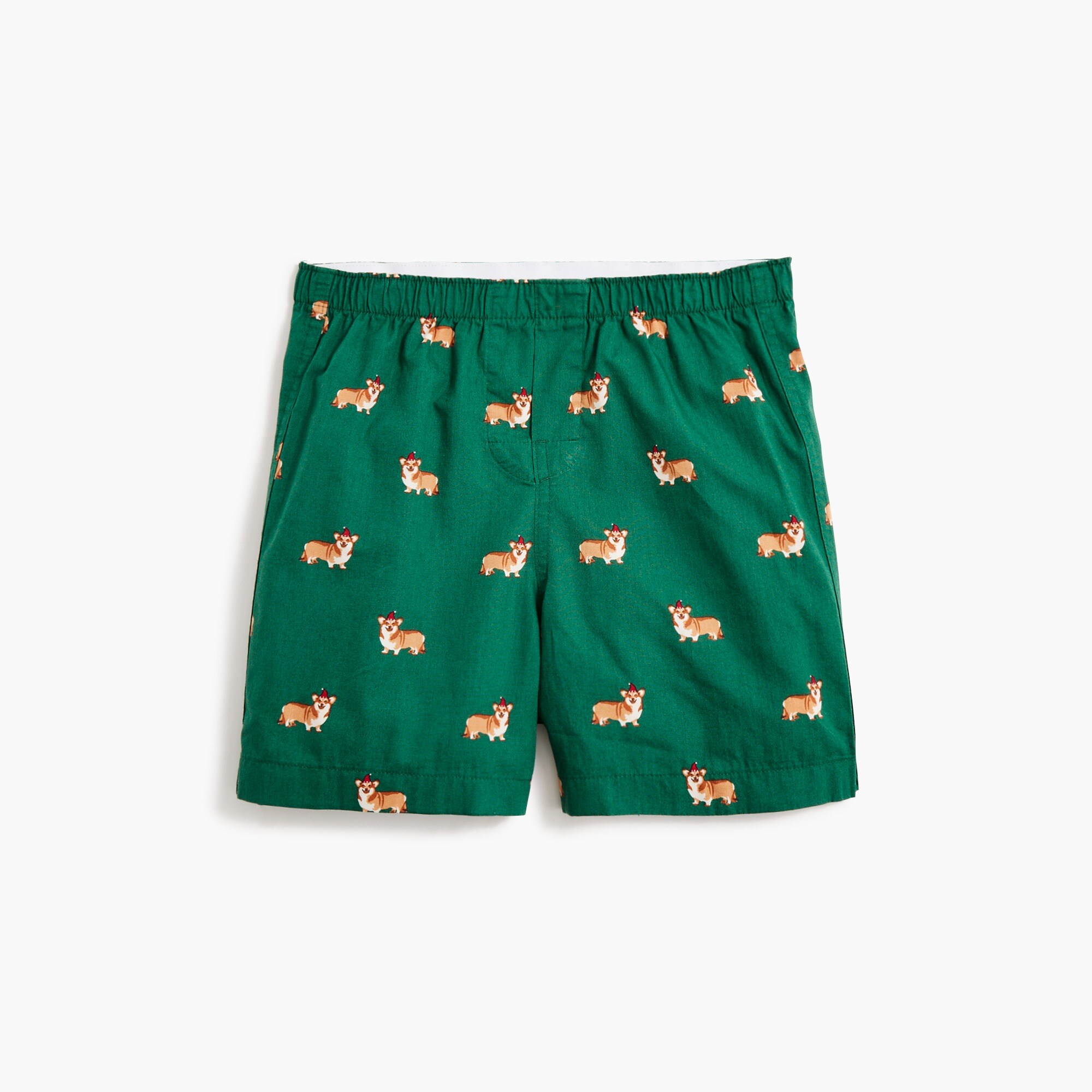 Boys' green corgi boxers