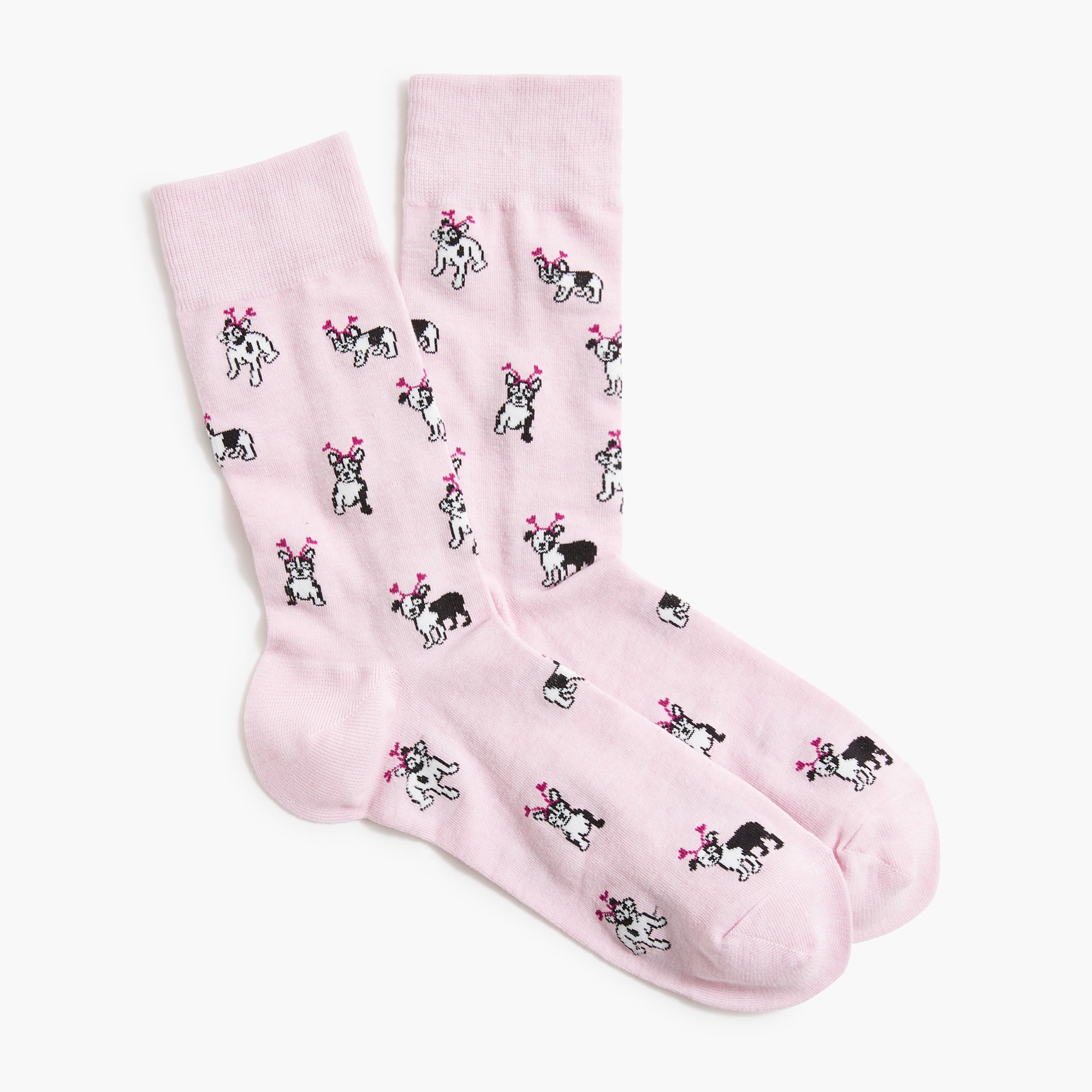  Dogs with heart socks