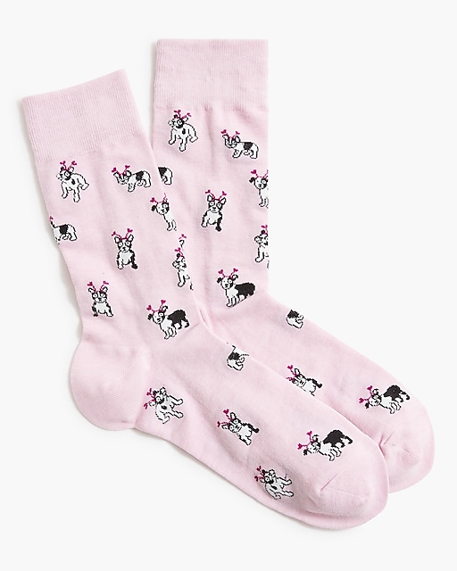  Dogs with heart socks