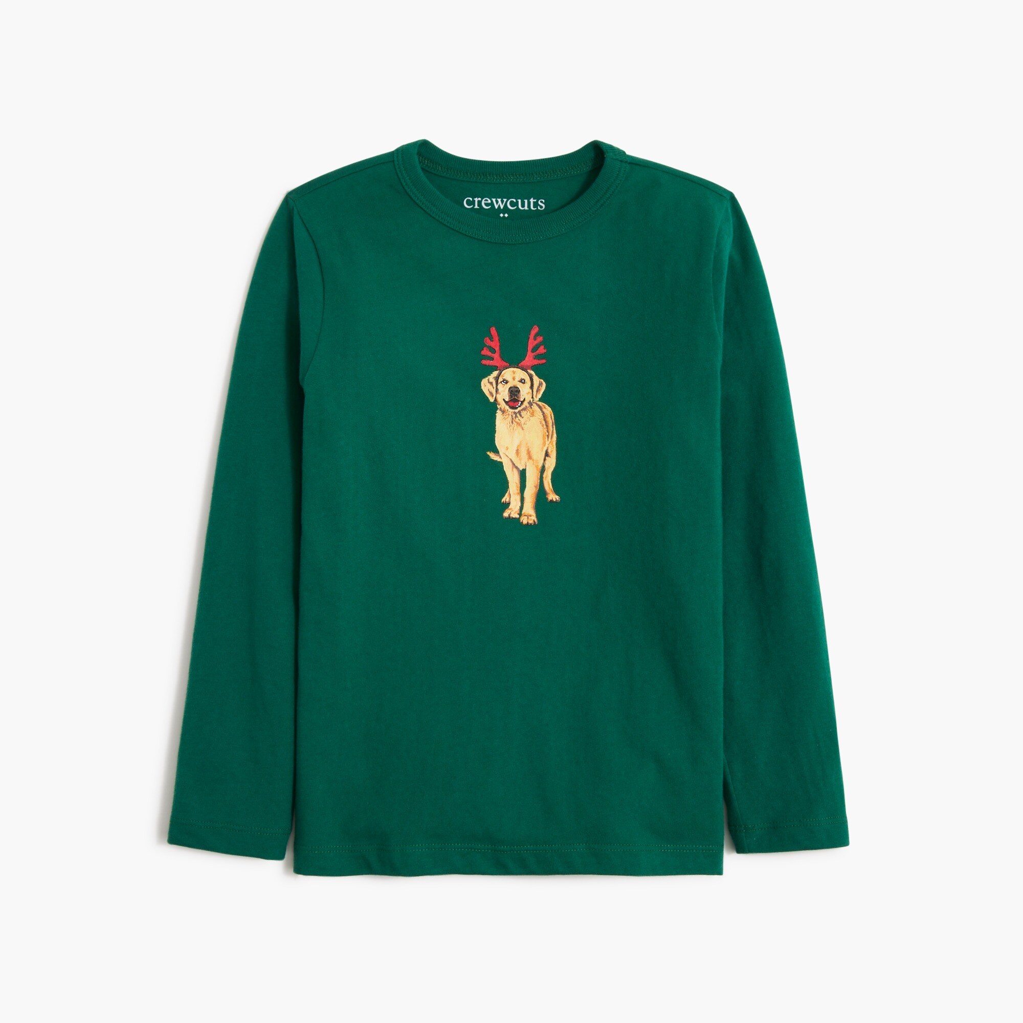 boys' antler dog graphic tee for boys