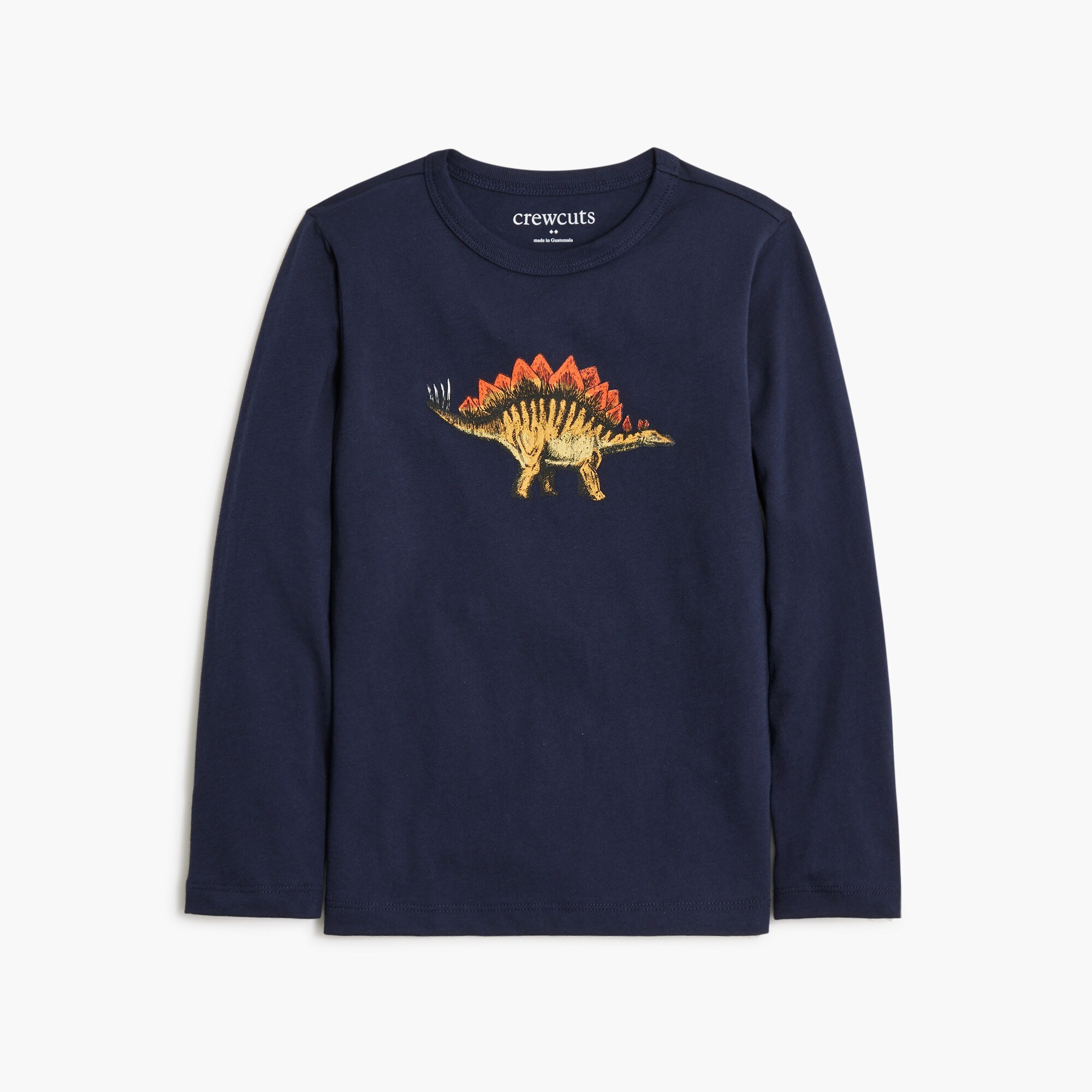 Boys' dinosaur graphic tee