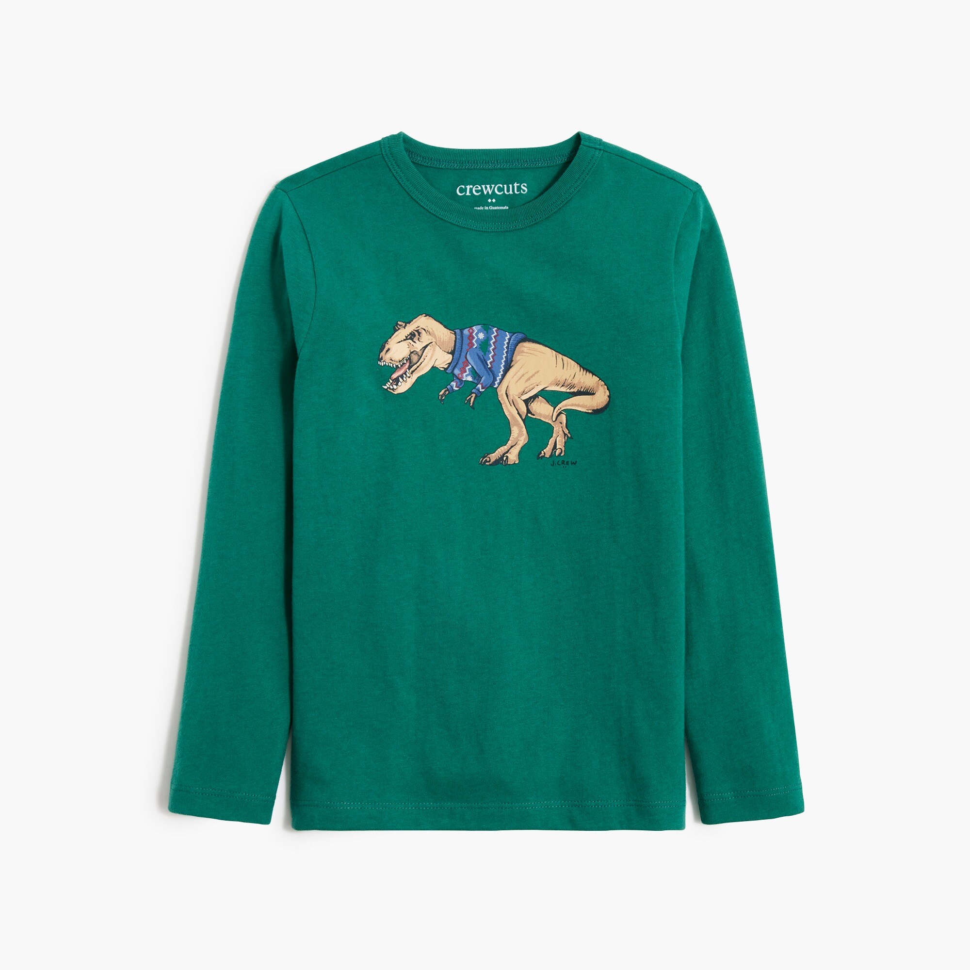 boys' t. rex graphic tee for boys