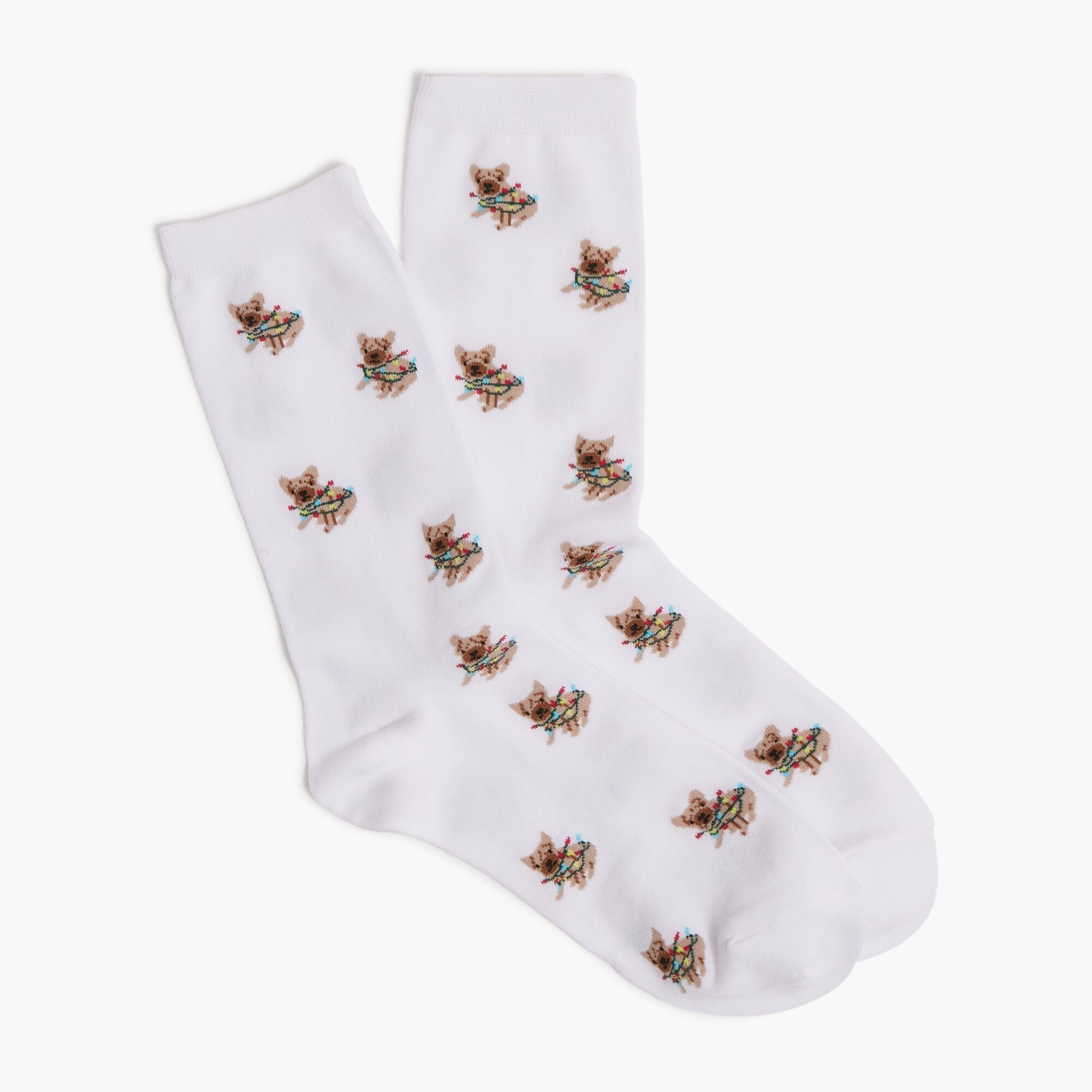 Dog with holiday lights trouser socks