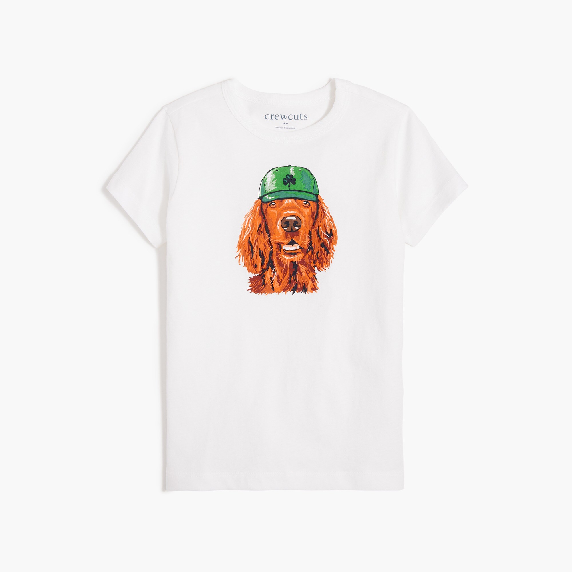 Boys' dog in hat graphic tee