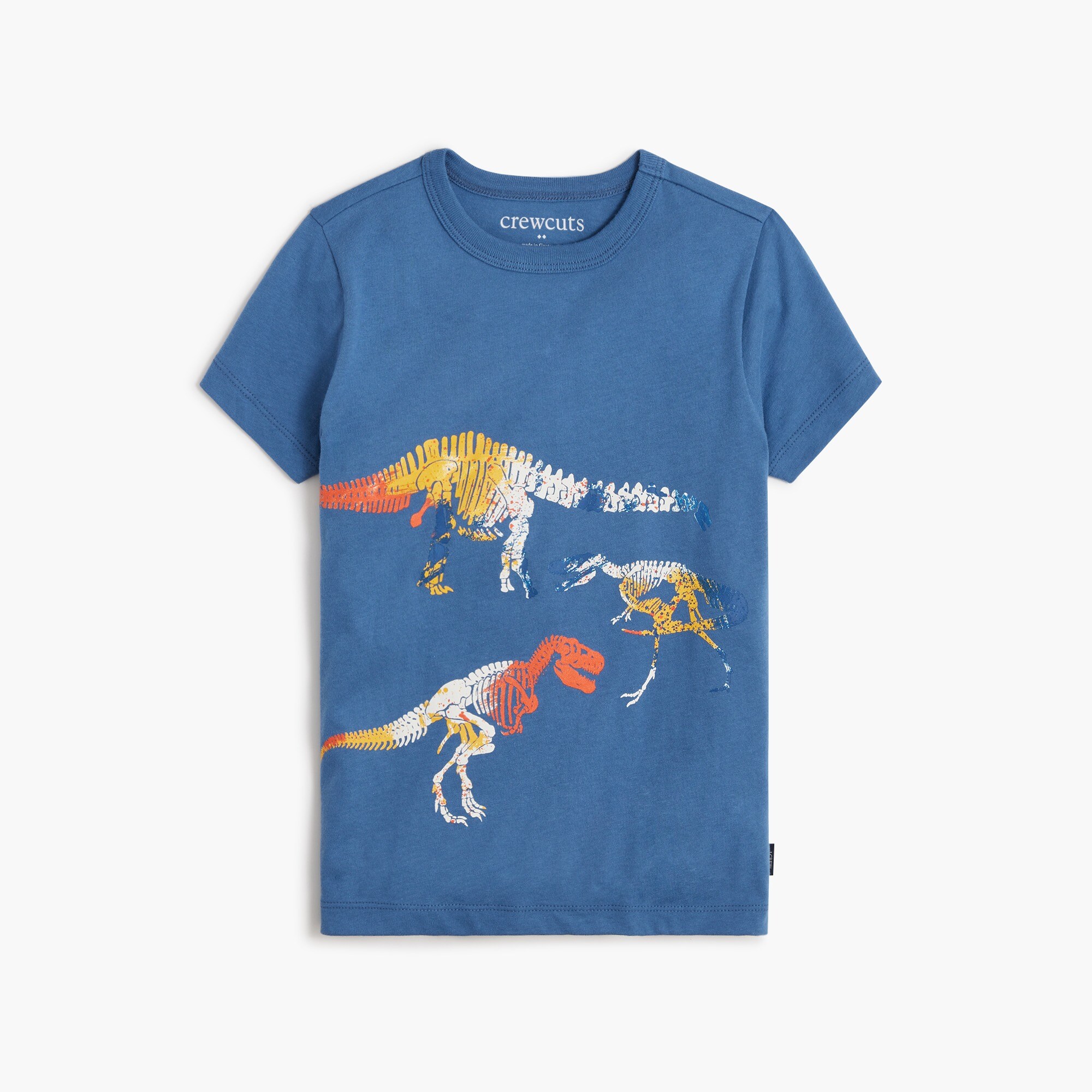 boys' dinosaurs graphic tee for boys