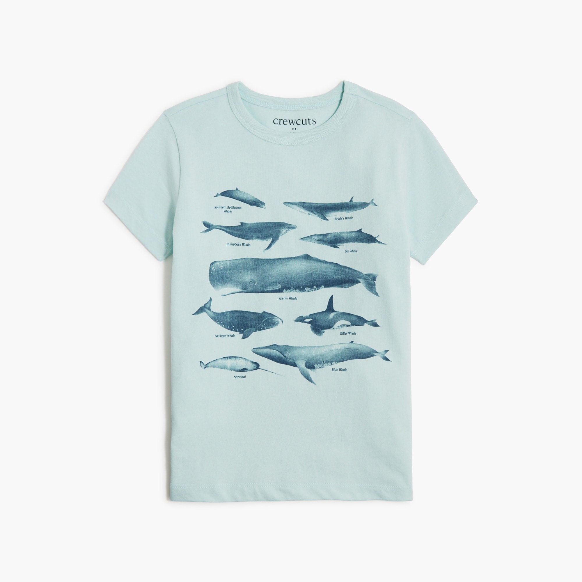  Boys' whale graphic tee