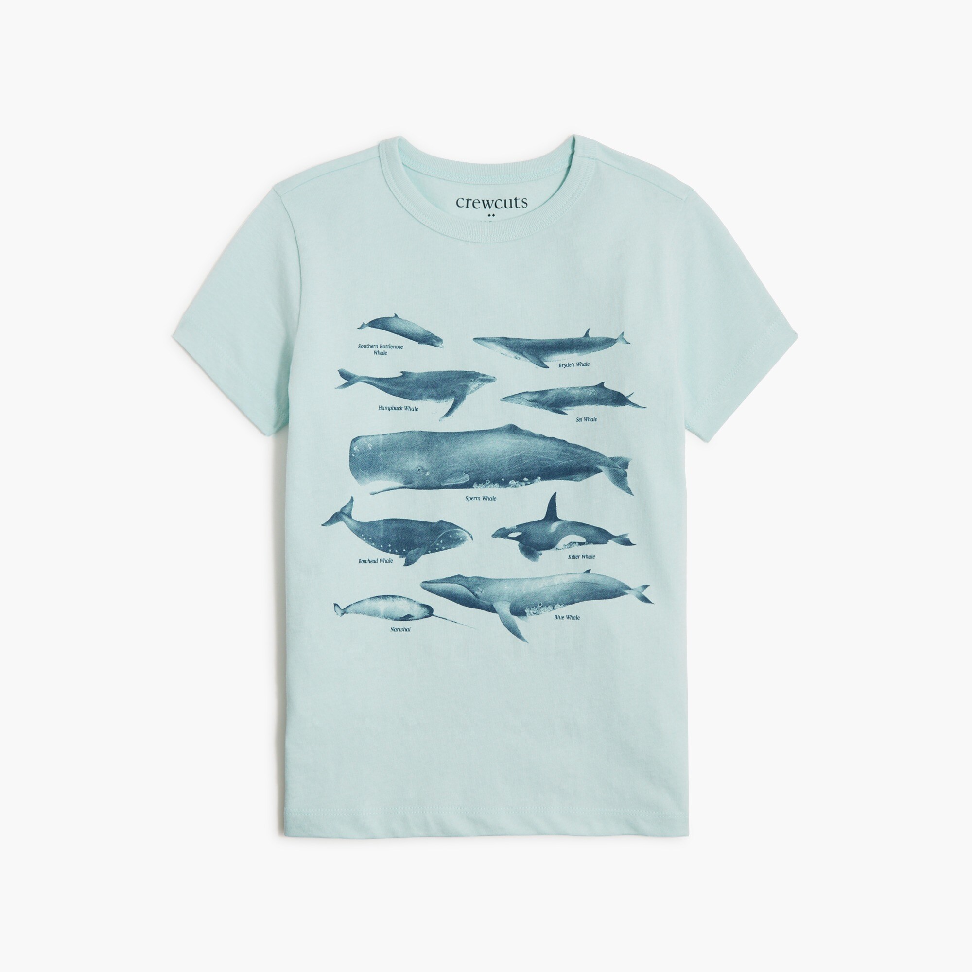 boys Boys' whale graphic tee